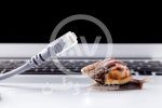 اختلال گسترده در اینترنت ایران در دومین شب متوالی