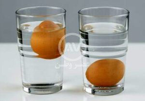 تشخیص تخم مرغ سالم با ۵ روش ساده