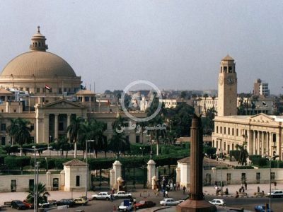 یک کارمند همکار خود را به دلیل رد درخواست ازدواج کشت