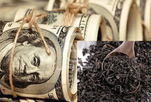 متهم ردیف اول فساد بزرگ چای دبش /کدام مدیران ارشد دولت رئیسی در فساد ۳/۷ میلیارد دلاری نقش موثری داشته‌اند؟