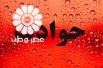 اعتراف زن به قتل همسرش: می خواست به دخترم تجاوز کند، با میله آهنی به سرش کوبیدم/ خانواده مقتول خواستار قصاص عروس‌شان شدند