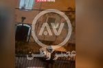 سعید بی ناموس را بشناسیم/دلیل فوت او چه بود