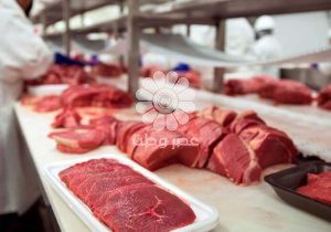 واردات گوشت از آفریقا و تانزانیا