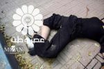 انتشار مستندات جدید از مرگ نیکا شاکرمی