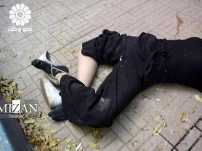 انتشار مستندات جدید از مرگ نیکا شاکرمی