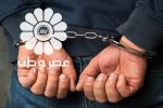 بازداشت عامل جنایت خونین در بوستان ولایت