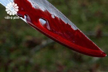 جنایت در خیابان گاندی تهران با ۱۹ضربه چاقو/ متهم به قتل: به من گفت به خواستگاری ام پاسخ منفی می دهد؛ حدس زدم پای فرد دیگری در میان است