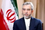از هر فرصت و راهی برای کمک به غزه استفاده می‌کنیم