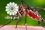 هشدار وزیر بهداشت درباره شیوع یک بیماری/ ۸۰ مبتلا شناسایی شدند