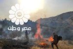 فرماندار کهگیلویه: دامنه آتش منطقه حفاظت شده خائیز در حال گسترش است