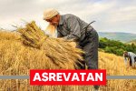 چرا مطالبات کشاورزان پرداخت نشد؟