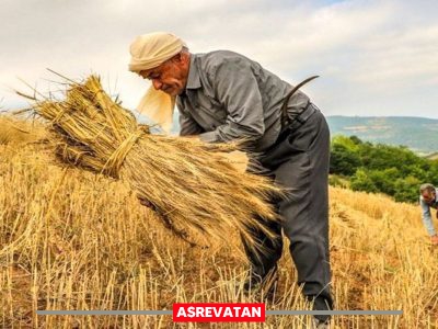 چرا مطالبات کشاورزان پرداخت نشد؟