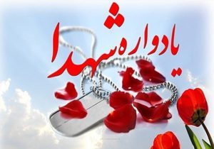 یادواره ۳۰ شهید بخش چاهورز لامرد فارس برگزار شد