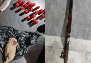شکارچی متخلف به همراه سلاح و مهمات در شهرستان فسا به چنگال قانون افتاد