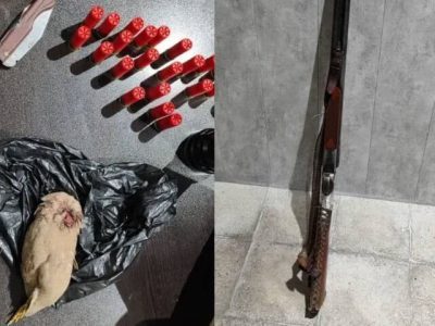 شکارچی متخلف به همراه سلاح و مهمات در شهرستان فسا به چنگال قانون افتاد