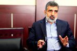 سخنگوی سازمان انرژی اتمی: حسابرسی مواد هسته‌ای در ایران با اغراض سیاسی انجام می‌شود