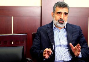 سخنگوی سازمان انرژی اتمی: حسابرسی مواد هسته‌ای در ایران با اغراض سیاسی انجام می‌شود
