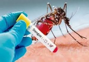 تلفات تب دنگی در بنگلادش نزدیک به ۵۰۰ نفر