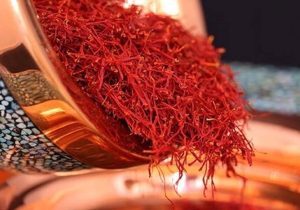 قدمت ۳ هزار ساله زعفران ایران در معرض خطر است