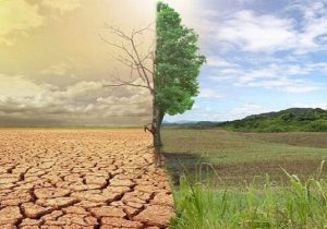 وزیر جهاد کشاورزی: همکاری ایران و عربستان برای بیابان‌زدایی