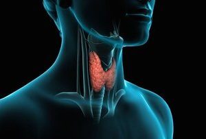 کم کاری تیروئید دارد؟/ لب به این غذاها نزنید
