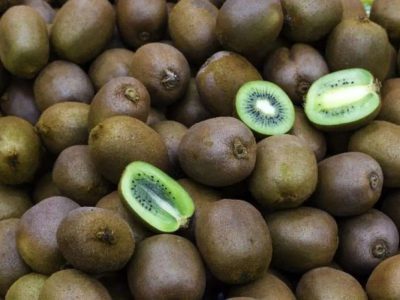 کیوی هم نجومی شد/۱۶۰هزارتومان ناقابل/ دلیل گرانی کیوی چیست؟