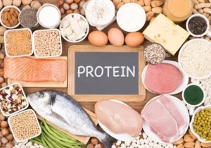 بهترین منبع پروتئین برای بدن