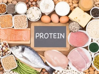 بهترین منبع پروتئین برای بدن