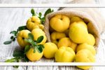 بِه؛ میوه‌ای با طبع گرم برای سلامت بدن و آرامش روح