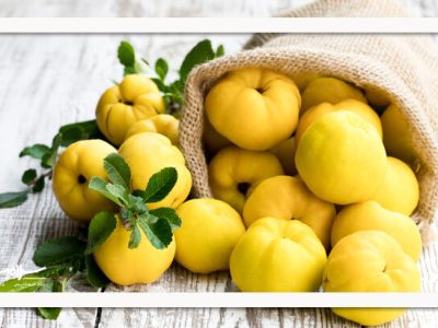 بِه؛ میوه‌ای با طبع گرم برای سلامت بدن و آرامش روح