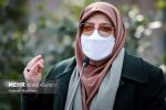 مهاجرانی: باید آن دسته از مصوبات دولت که برای عموم قابل استفاده است، در دسترس باشد