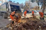۱۰۰۰ تُن برگ جمع‌آوری‌شده تا پایان سال جاری/ حدود ۲۵۰ تُن کود برگ حاصل شد