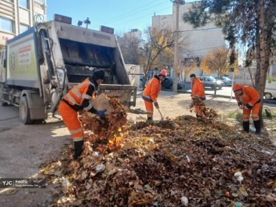 ۱۰۰۰ تُن برگ جمع‌آوری‌شده تا پایان سال جاری/ حدود ۲۵۰ تُن کود برگ حاصل شد
