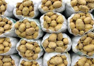 انبارهای احتکار سیب‌زمینی در شیراز لو رفت