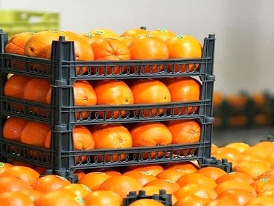 پیش‌بینی ۳۶ بازارچه برای عرضه میوه شب عید نوروز در شیراز