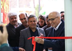 فارس چهارمین استان کشور از نظر تعداد روانشناس و مشاور است