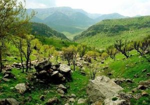 اجلاسیه بین‌المللی مدیریت پایدار جنگل‌های زاگرس برگزار می‌شود