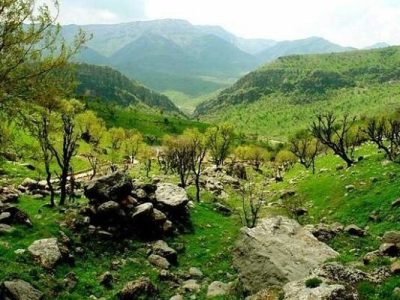 اجلاسیه بین‌المللی مدیریت پایدار جنگل‌های زاگرس برگزار می‌شود