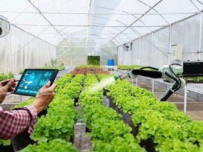 تحقق شعار سال مستلزم ورود دانش به مزرعه است
