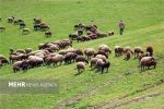 حفظ منابع طبیعی نیازمند الگوی مشارکتی
