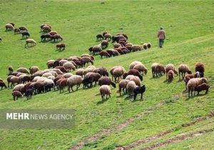 حفظ منابع طبیعی نیازمند الگوی مشارکتی