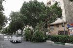 هشدار وزش باد شدید تا خیلی شدید در تهران؛ دما کاهش می‌یابد