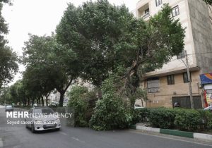 هشدار وزش باد شدید تا خیلی شدید در تهران؛ دما کاهش می‌یابد