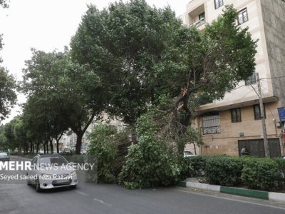 هشدار وزش باد شدید و رگبار در تهران؛ دما کاهش می‌یابد