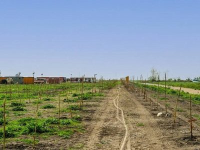 وزارت جهاد به دنبال بازپسگیری زمین پتروشیمی میانکاله است