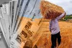 پرداخت به‌موقع مطالبات گندم‌کاران در شورای اقتصاد پیگیری می‌شود