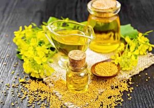 پیش‌بینی شده امسال ۳۰۰ هزار تن کلزا خرید تضمینی شود
