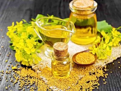 پیش‌بینی شده امسال ۳۰۰ هزار تن کلزا خرید تضمینی شود