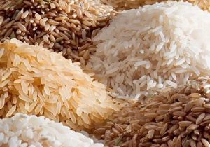 ۲۰۰ هزار تن برنج در انتظار مجوز ترخیص