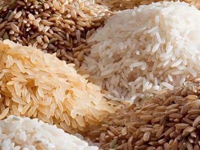 ۲۰۰ هزار تن برنج در انتظار مجوز ترخیص